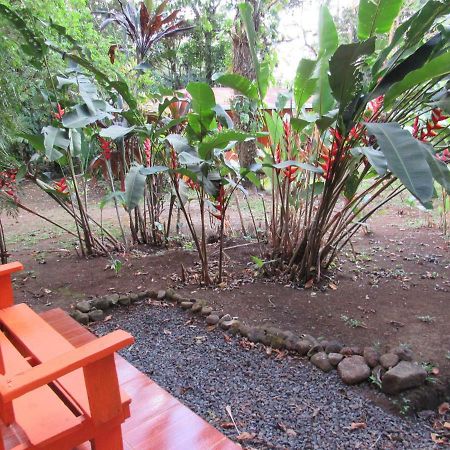 Finca Verde Lodge Bijagua Dış mekan fotoğraf