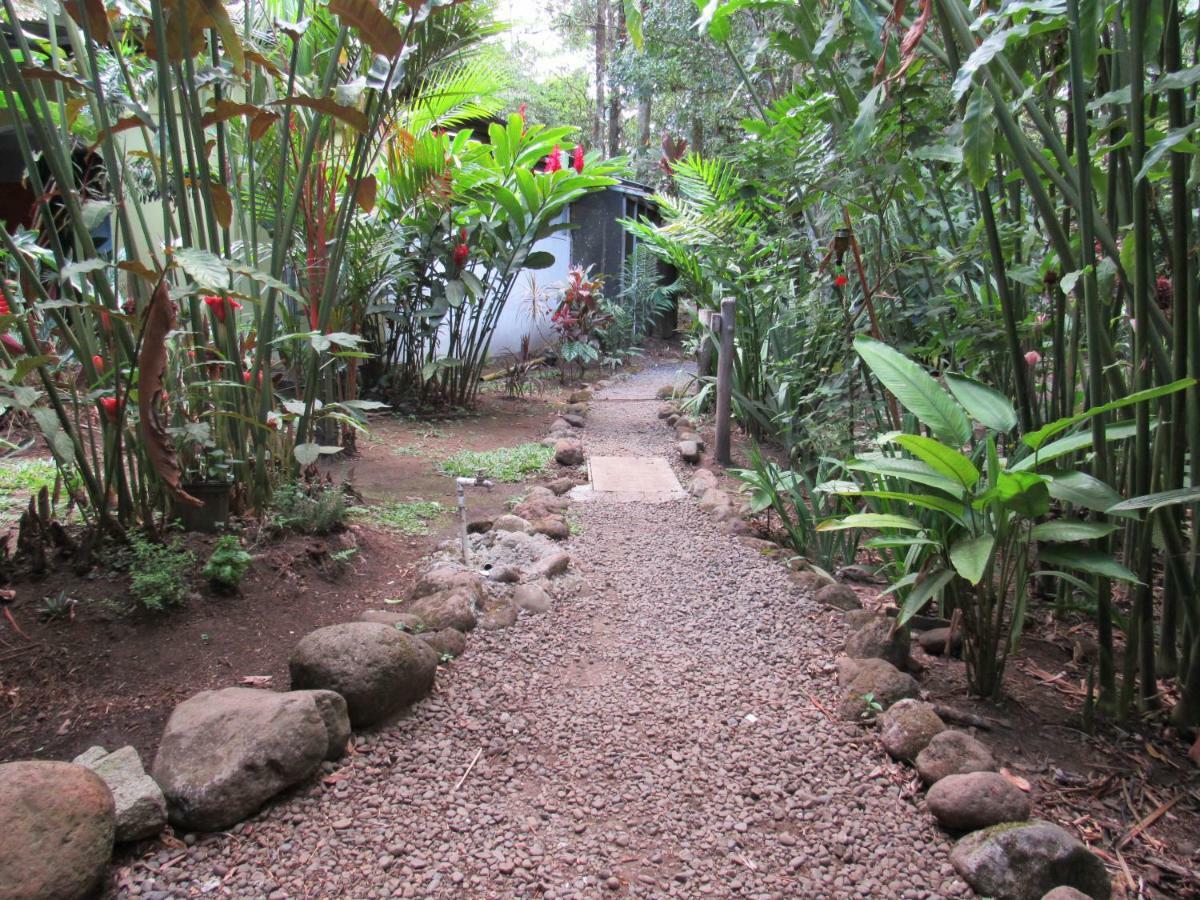 Finca Verde Lodge Bijagua Dış mekan fotoğraf